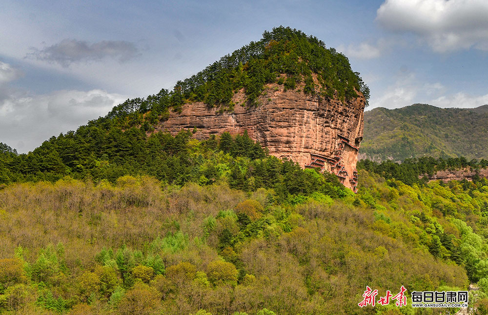 DSC_02021.jpg