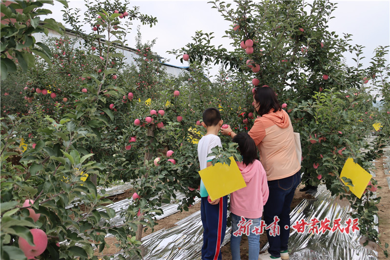 游客体验采摘的乐趣_proc.jpg