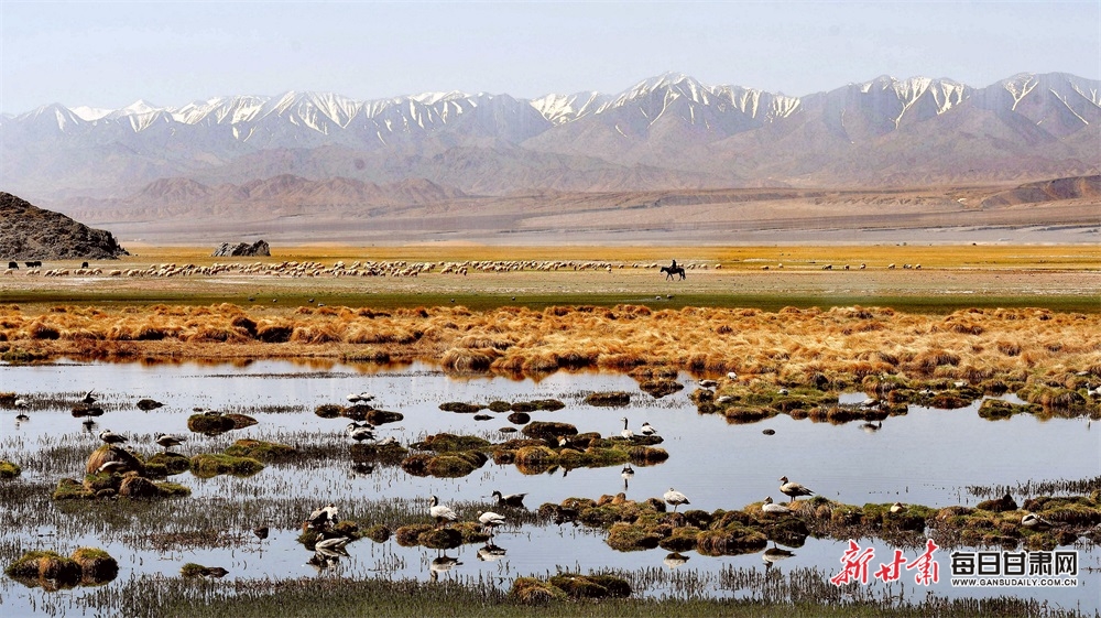 微信图片_20221007175826.jpg 微信图片_20221007175826.jpg