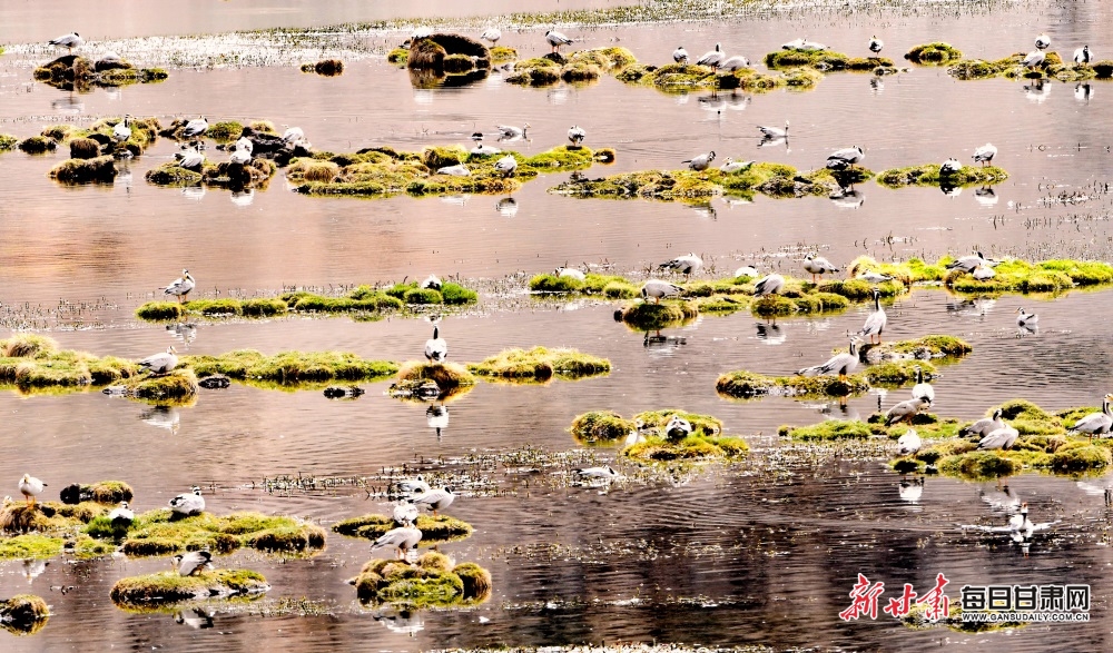 微信图片_20221007175830.jpg 微信图片_20221007175830.jpg