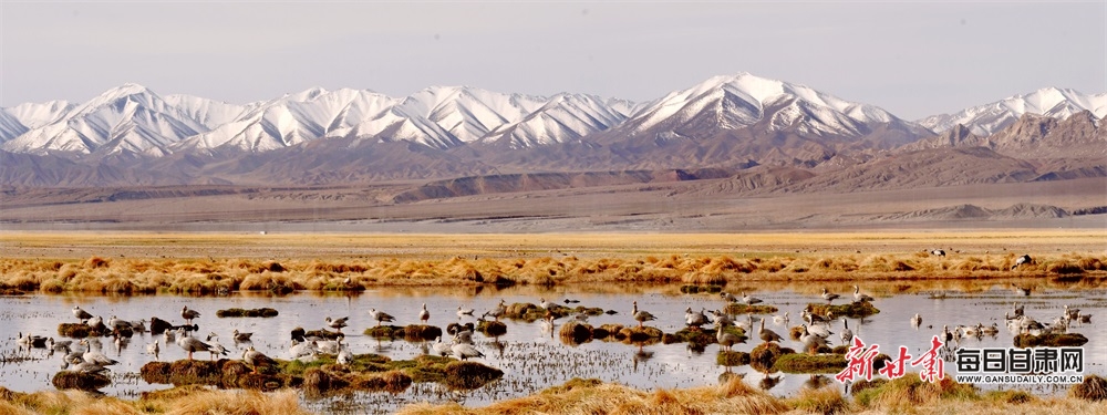 微信图片_20221007175834.jpg 微信图片_20221007175834.jpg