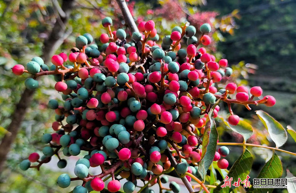 微信图片_20221025171014.jpg 微信图片_20221025171014.jpg