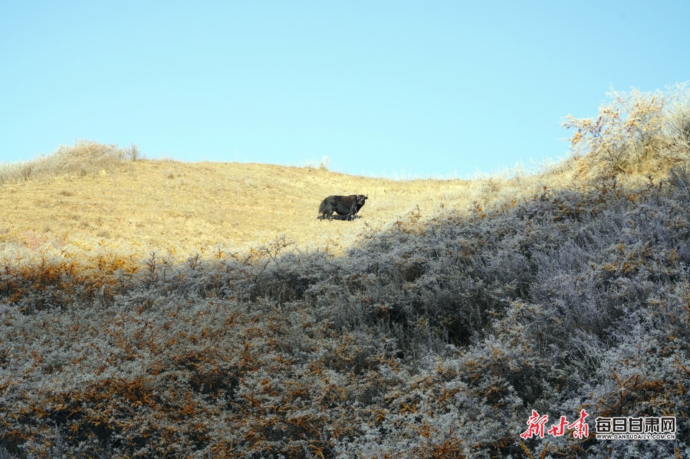 DSC03822_副本.JPG