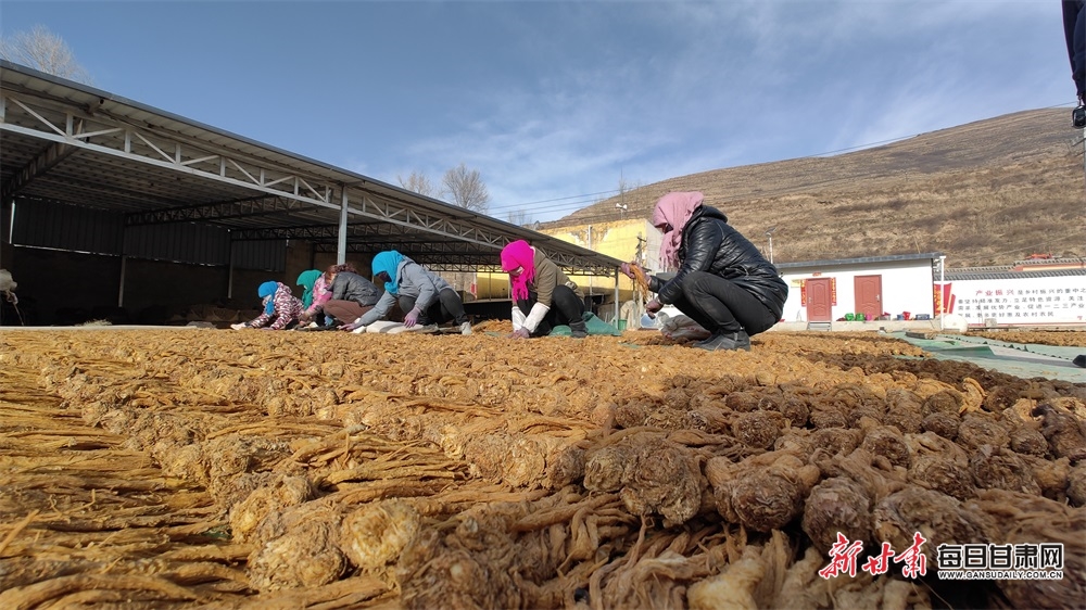 微信图片_20230220112544