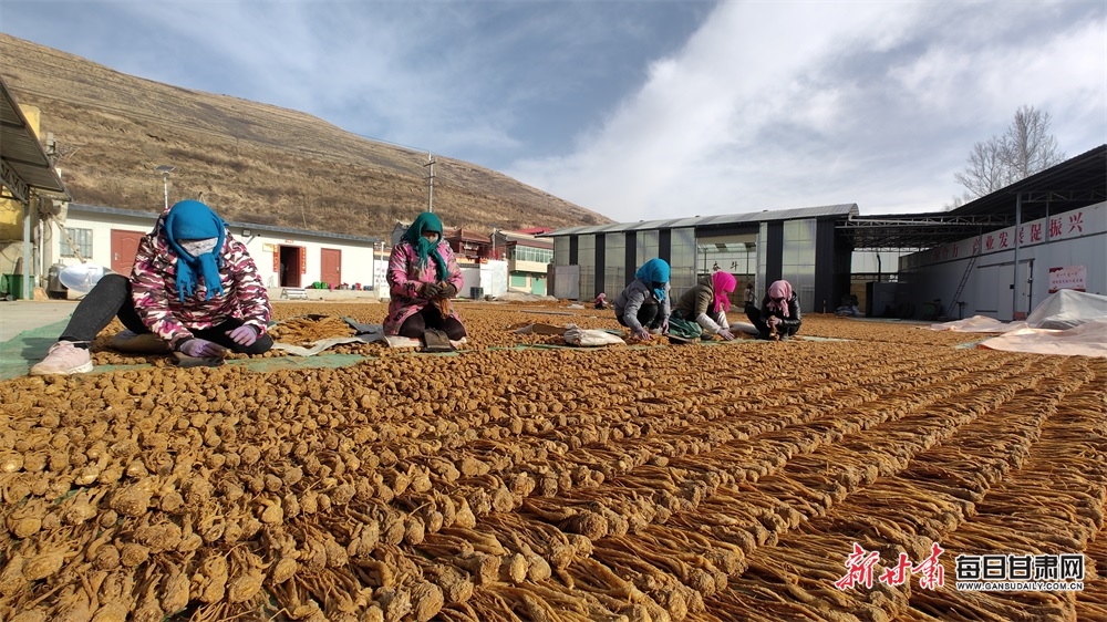 微信图片_20230220110303