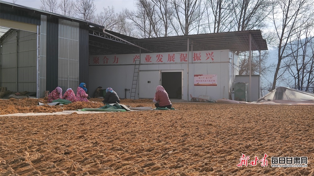 微信图片_20230220112549