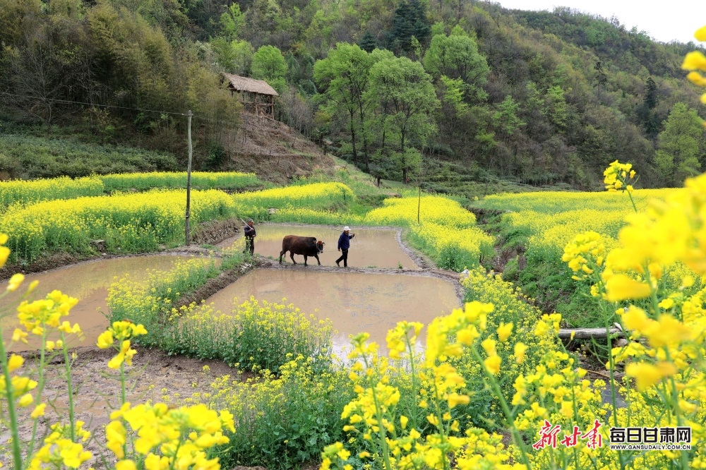 GetAttachment (1) GetAttachment (1).jpg