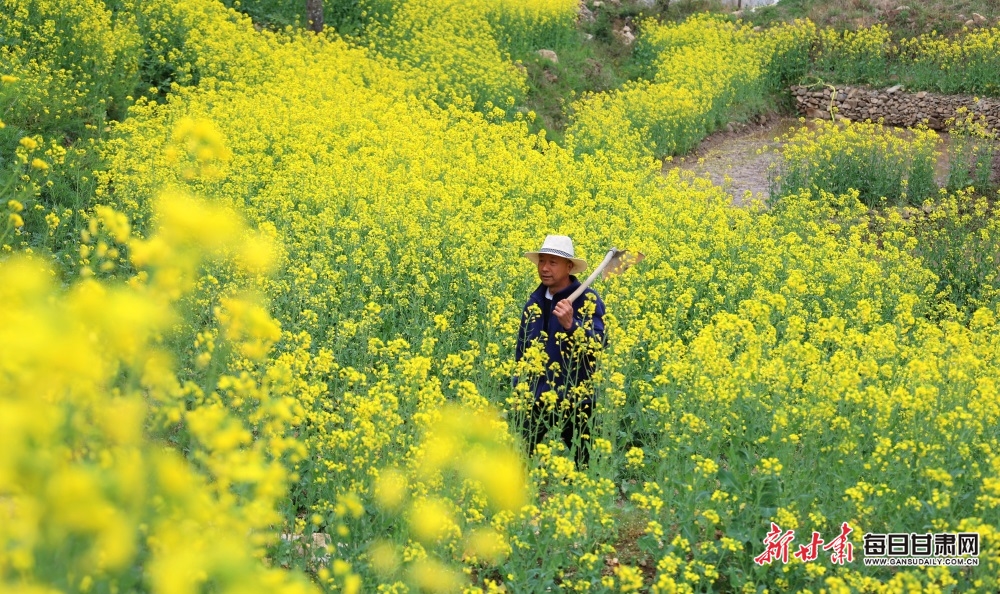 7b0bb4b86b80bb931e2f98dec58b3f3 7b0bb4b86b80bb931e2f98dec58b3f3.jpg