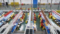 中国苹果产业协会调研静宁苹果产业建设工作