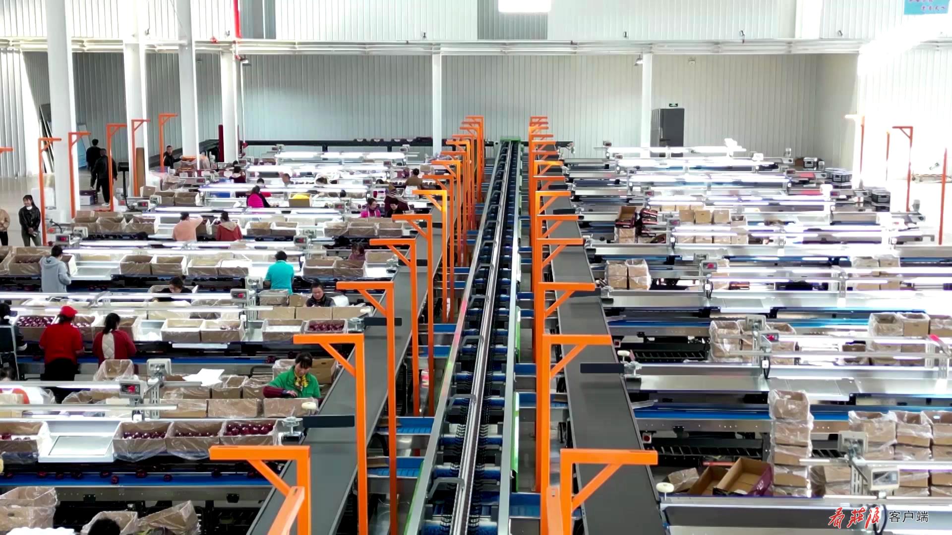 微信图片_20240919101202