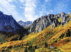 官鹅沟之秋：一场色彩与诗意的狂欢