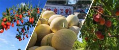 从田间到舌尖，白银把夏天的 “甜” 酿成了日子