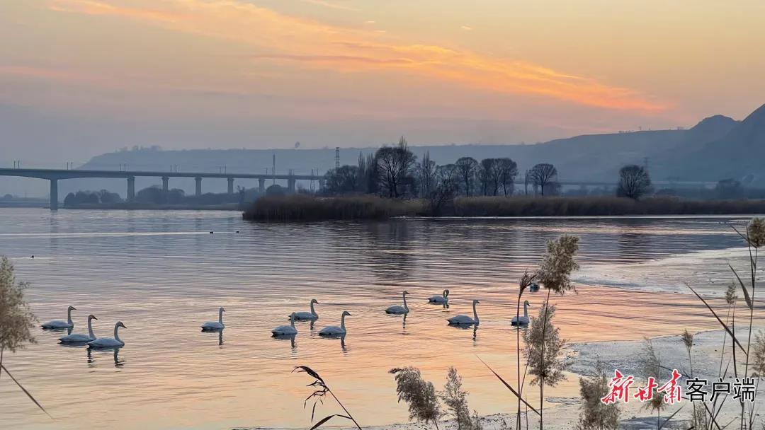 GetAttachment 图片