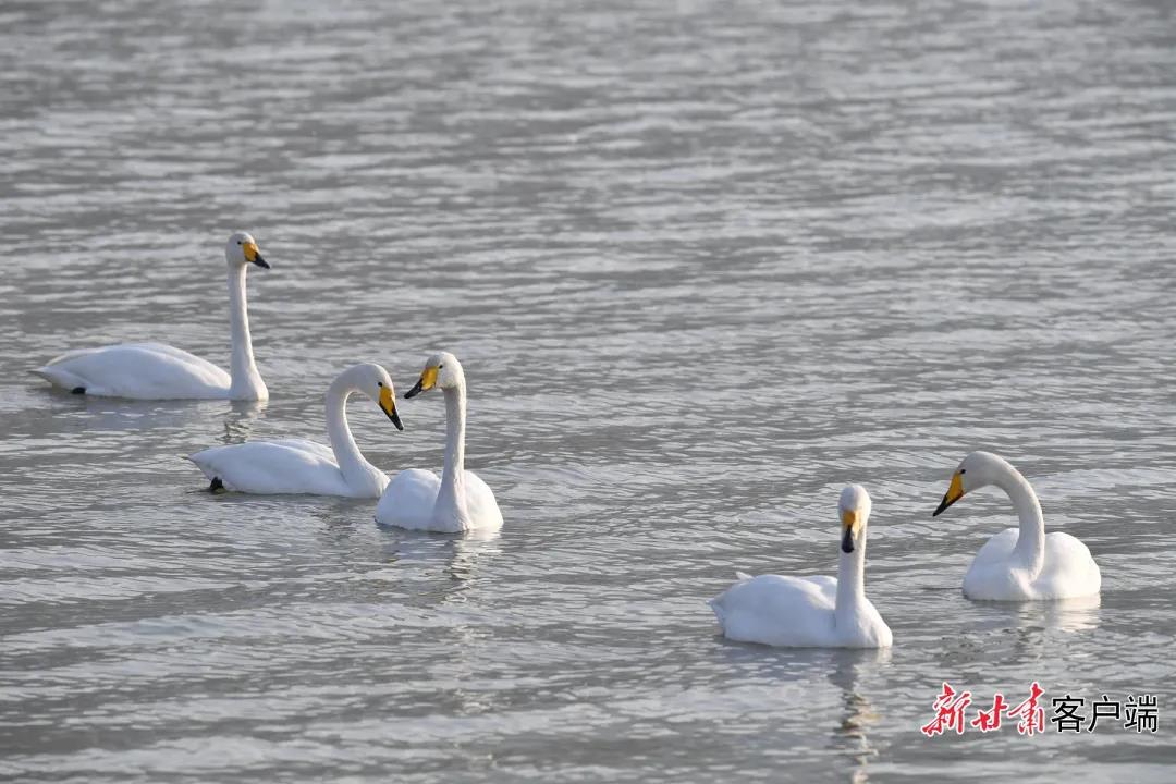 GetAttachment (1) 图片