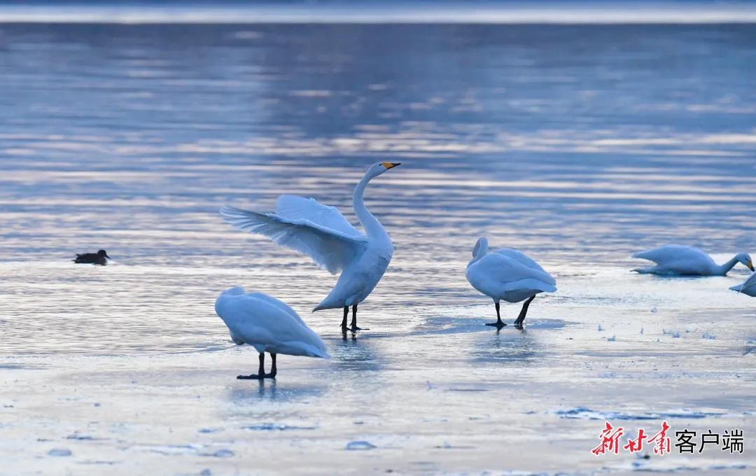 GetAttachment (3) 图片