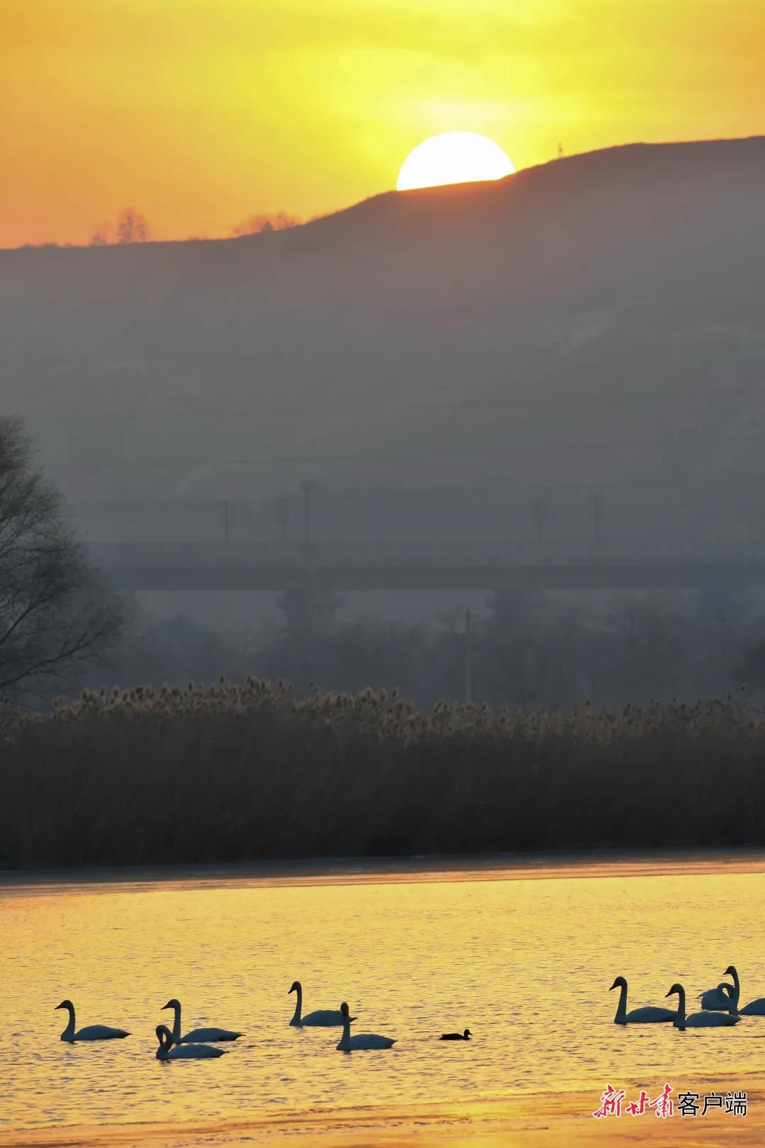 GetAttachment (4) 图片