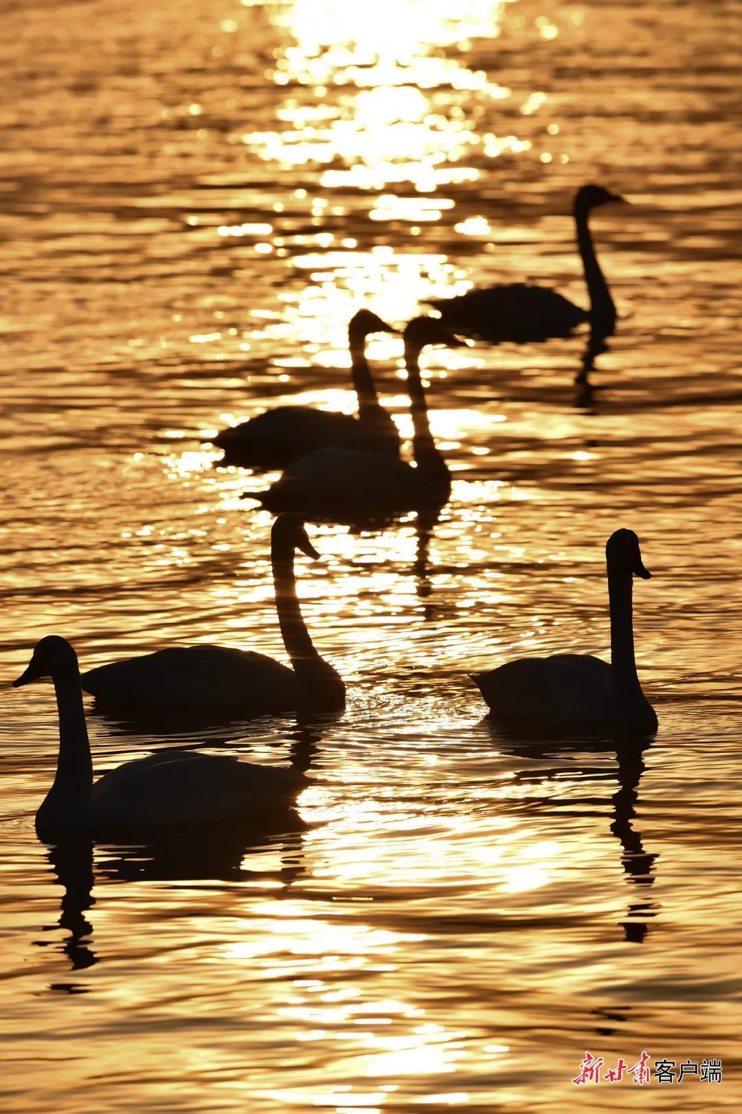 GetAttachment (5) 图片