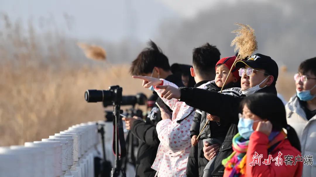 GetAttachment (6) 图片