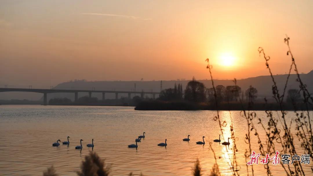 GetAttachment (7) 图片