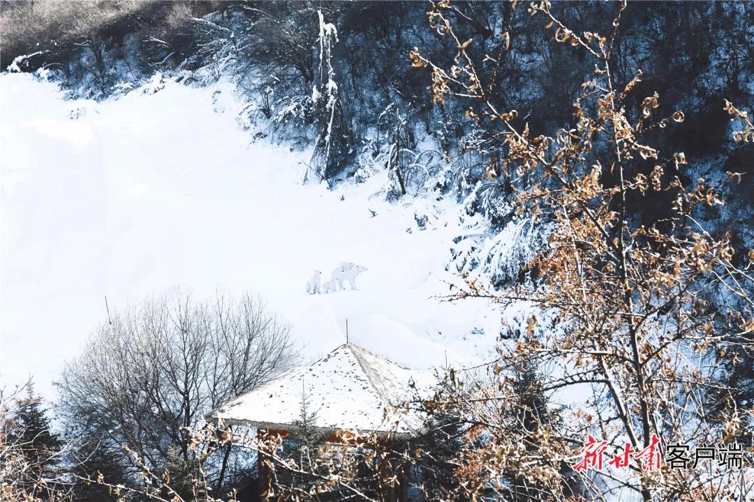 a253471aed3046fccab178abf0fde72.jpg 图片