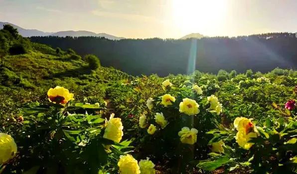 微信图片_20220221142016.jpg 图片