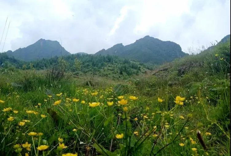 微信图片_20220221141127.jpg 图片