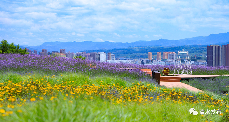 38591a8a9e51bcfdfeb01591dba55d8 图片