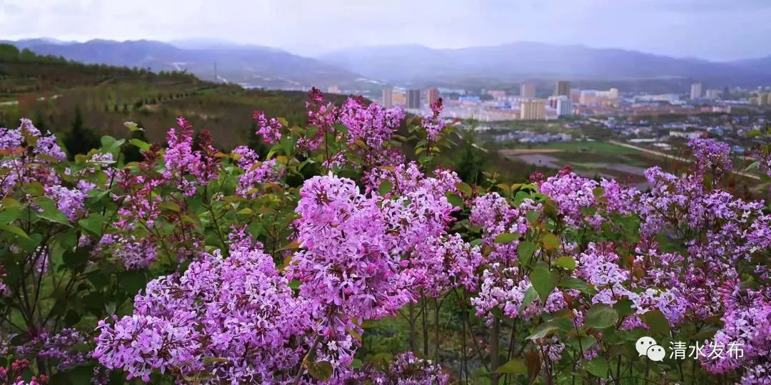 微信图片_202303171806005 图片