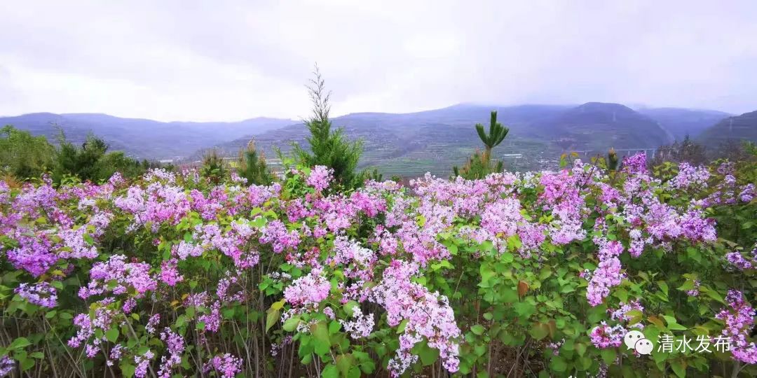 微信图片_202303171806006 图片