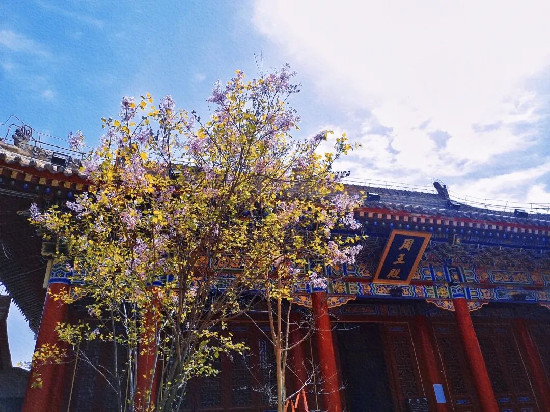 fcec2be77b1ce44a046eb59cfe84b363.jpg 图片