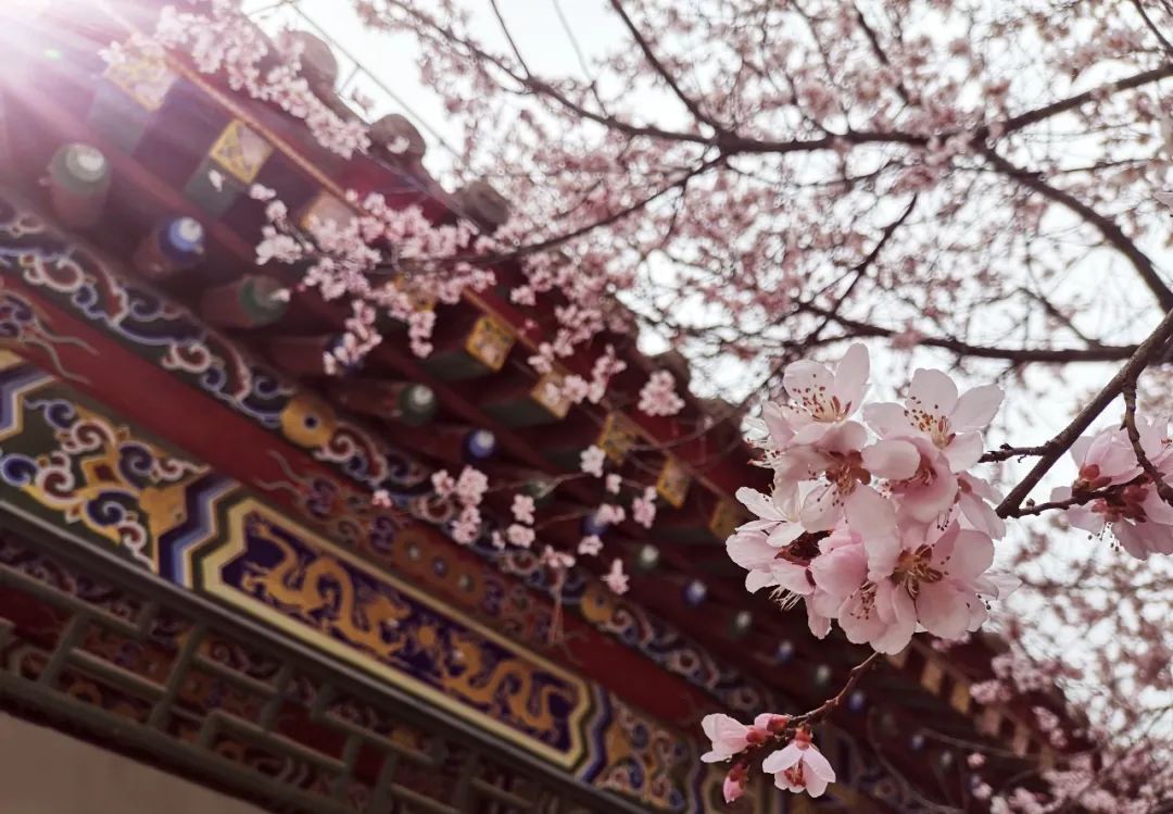 e3b079dce7818e42568da1226562ca7b.jpg 图片