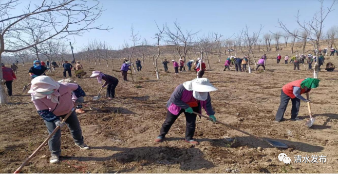 1683182119652018119.png 图片