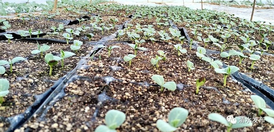 微信图片_20230517185551_副本 图片