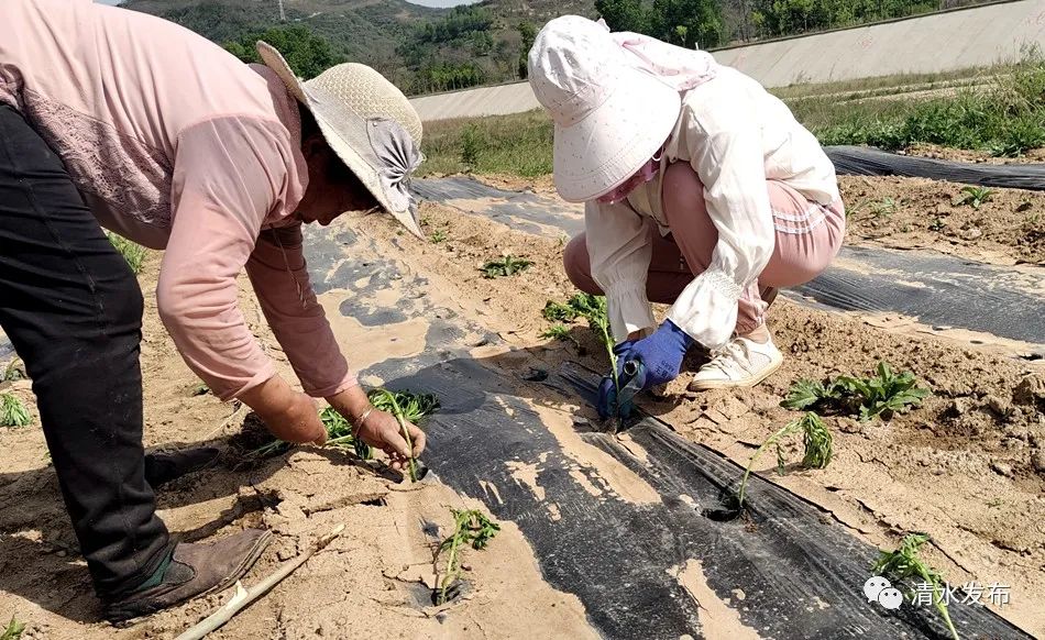 微信图片_20230517185537_副本 图片