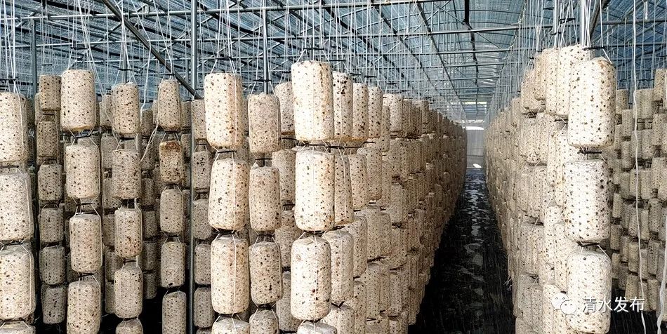 微信图片_20230517185547_副本 图片