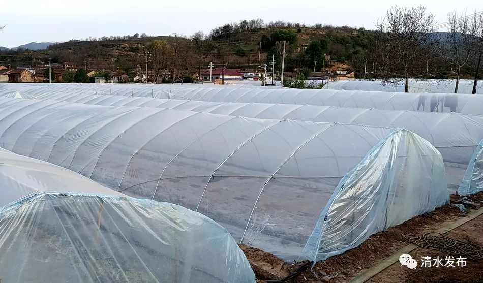 微信图片_20230517185555_副本 图片