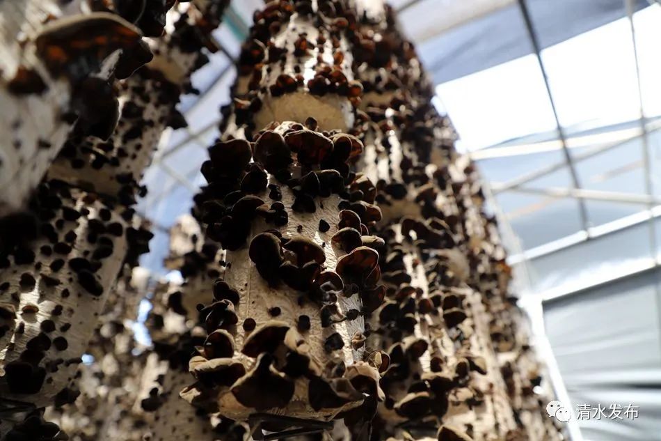 ce08c4c0f24d48c69d67c7b2af6f017 图片