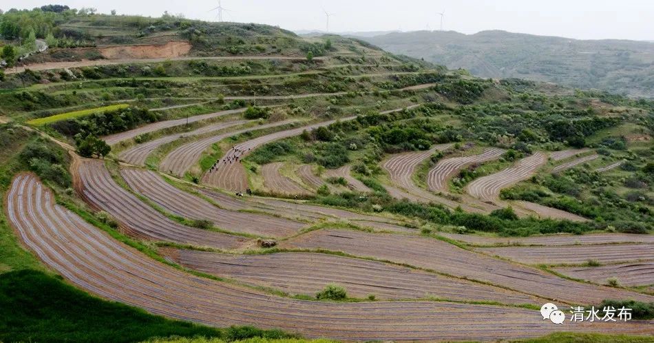 微信图片_20230523174030_副本 图片