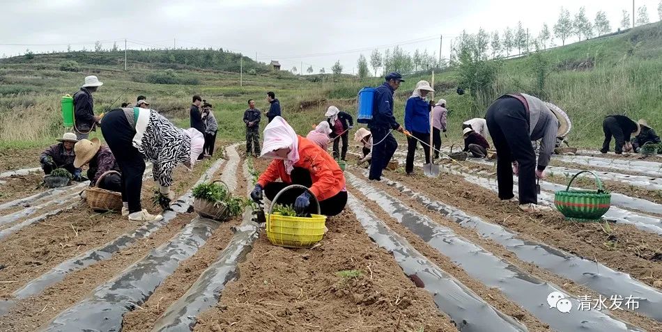 微信图片_20230523174124_副本 图片