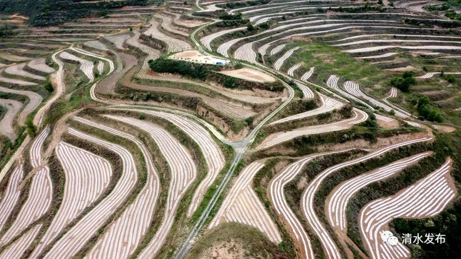 微信图片_20230523174036_副本 图片