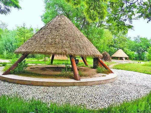 binary_middle (6) 图片